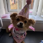 Claire Bloomfield - Facebook