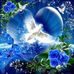 Claire Bouchard - Facebook