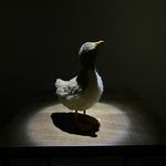 Claire Byrd - @little_birb0 - Instagram