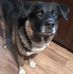 Claire Carson - Facebook