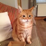 @clairechicken30 - Instagram