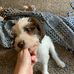 Sarah Clevenger - Facebook
