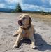 Claire Collier - Facebook