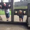 clairecollier96 - @clairecollier96 - TikTok