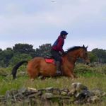 Claire Crowther - @clairecrowther6630 - Instagram
