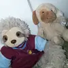 clairecrow - @toys481 - TikTok