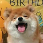 Claire Deng - @claire_yx1015 - Instagram