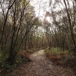 Claire de Vries - @focus.4.change - Instagram