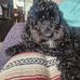 Claire Dodd - Facebook