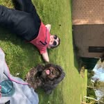 Claire Dodd - @clairedodd9 - Instagram