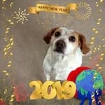 Claire Drew - @claire79563 - Instagram