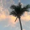 claire_erickson23 - @claire_erickson23 - TikTok