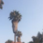Claire Erickson 🌵 - @_claireerickson - Instagram