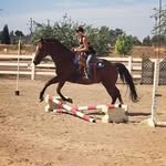 Claire Fairbanks - @claire_fairbanks - Instagram