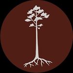 Claire Fallon - @_green_being_ - Instagram