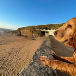 Claire Fielder - @clairefielder - Instagram