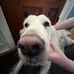 Claire Fuller - Facebook
