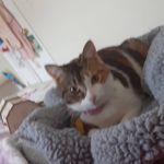 claire ginn - @ginn8072 - Instagram