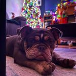 Claire Mc Ginn - @claire_mc_ginn - Instagram