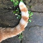 Claire Grey - @clairegrey8 - Instagram