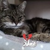 Claire Grigg566 - @gcmg1 - TikTok
