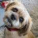 Claire Hahn - Facebook