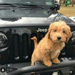 Claire Hammer - @claire_hammer01 - Instagram