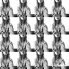 Claire Hammer - @clairehammer - TikTok