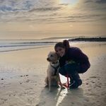 @claire_hammerstein - Instagram