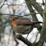 Claire Hildreth Photography - Facebook