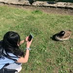 Claire Jiang - @astriexarts - Instagram