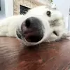 claire_jiang - @claire_jiang01 - TikTok