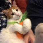 Claire Jiang - @clairejiangjiang - Instagram