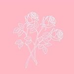 Claire Jiang - @claire._.jiang_ - Instagram