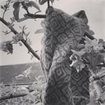 Claire Knights - @claire_knitter - Instagram