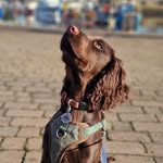 Claire Knights-Wheeler - @claire760 - Instagram