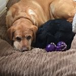 Claire Knowles - @claireknowles_ - Instagram