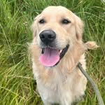 Claire laing - @clairelaing52 - Instagram