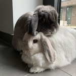 Claire & Léon - @marie.claireleon - Instagram