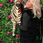 Claire Lester - @lesterclaire - Instagram
