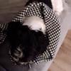 Claire Lind - @claire.lind3 - TikTok