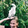 claire macfarlane - @ifykykhehe - TikTok