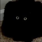 Claire Mackay - @clairemackay.6 - Instagram