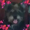 Malcolm Stclaire - @malcolm.stclaire - TikTok