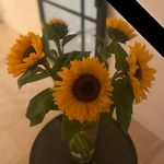 Claire Zwinkels-Masterson - @zwinkelsons - Instagram