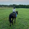 Claire Mathis 🫶 - @cm.dressage0 - TikTok