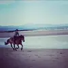 Claire McCall547 - @clairemccall36 - TikTok