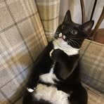 Claire McCall - Facebook