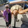 Claire McCall - @claire.mccall0 - TikTok
