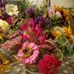 Claire Mccarty - Facebook